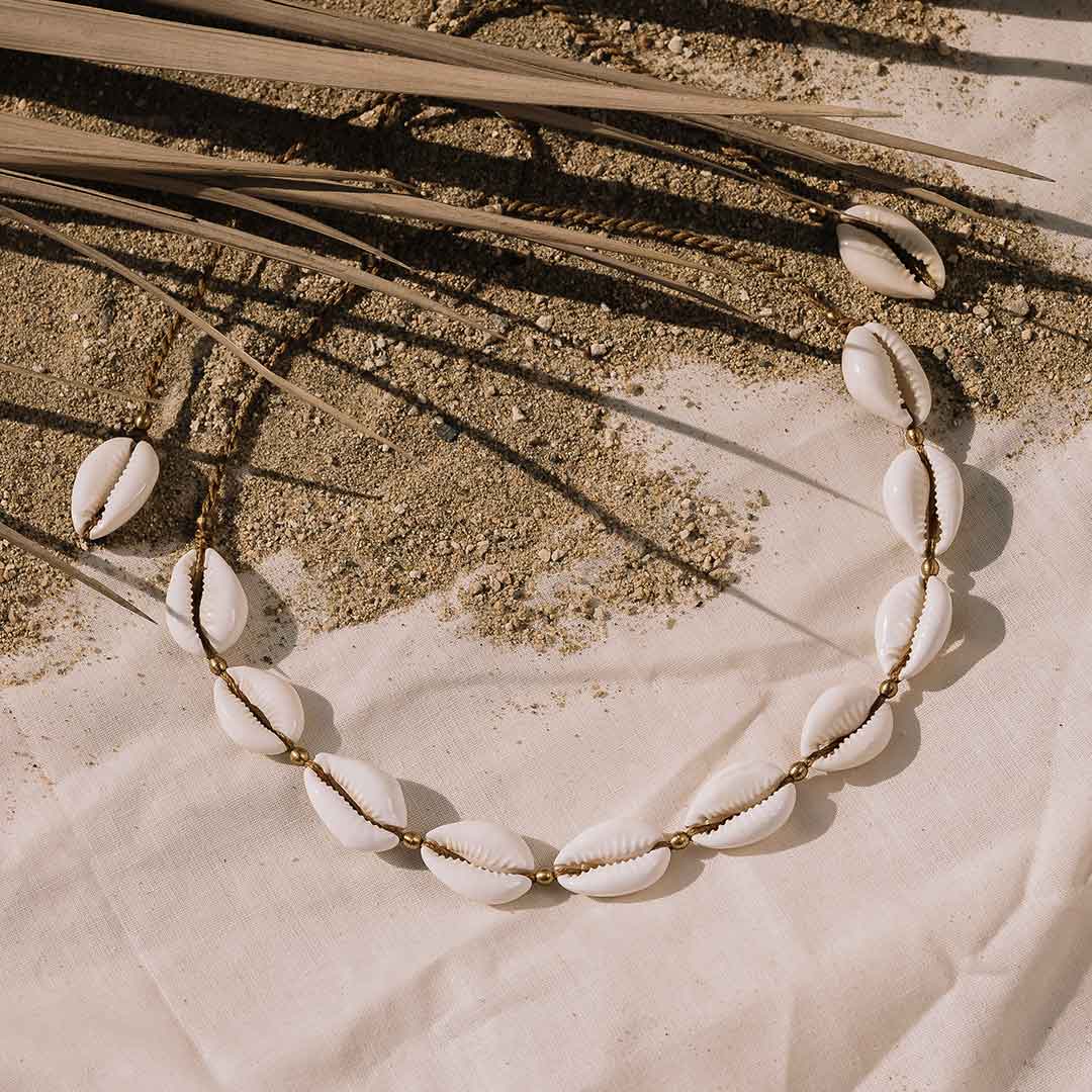 Dieses Bild zeigt die Kauri Muschelkette auf einem steinigen Untergrund.